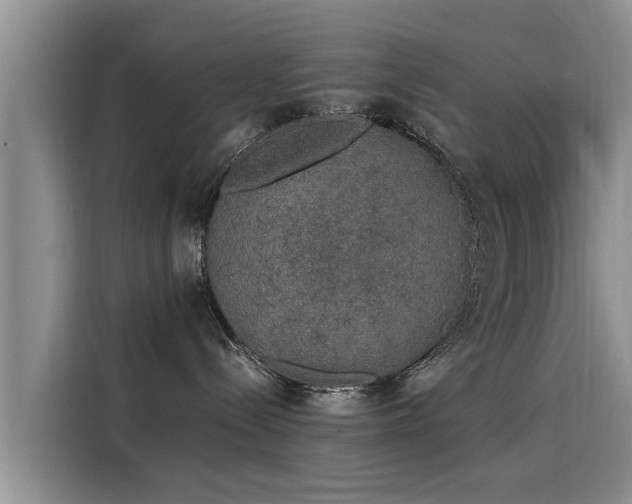 X0000116050288200911271224