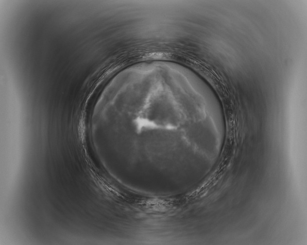 X0000116050290200911271223
