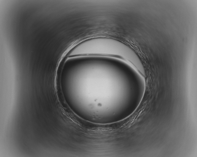 X0000116050292200911271223