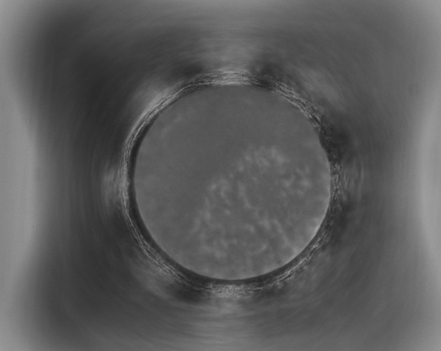 X0000116050293200911271223