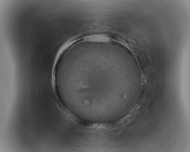 X0000116050294200911271223