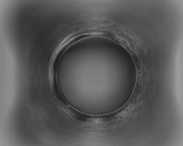 X0000116050295200911271223