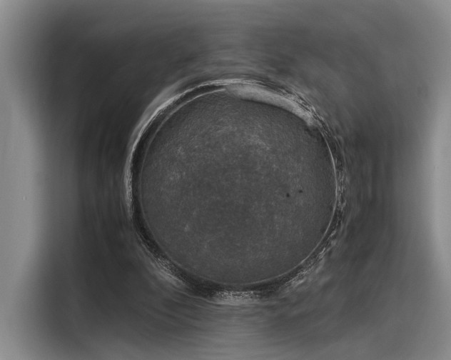 X0000116050296200911271223
