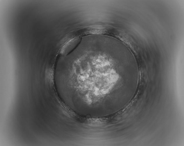 X0000116050297200911271223