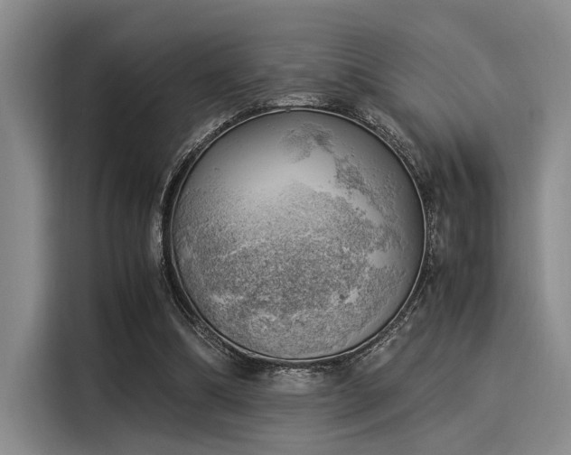 X0000116050298200911271223