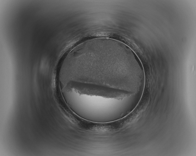 X0000116050299200911271223