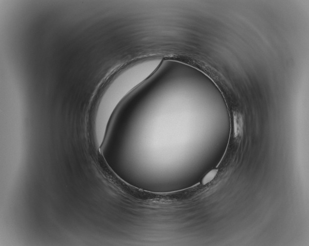 X0000116050300200911271223