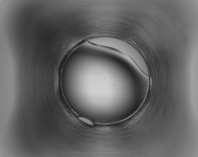 X0000116050301200911271223
