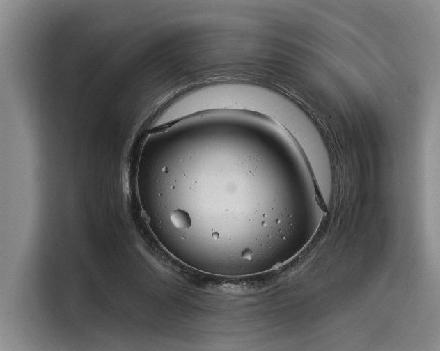 X0000116050302200911271223