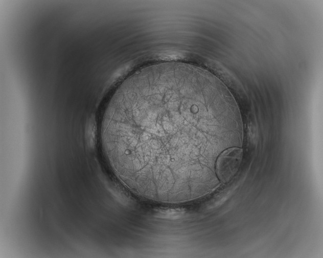 X0000116050304200911271223