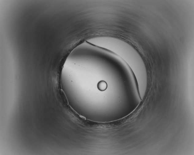 X0000116050305200911271223
