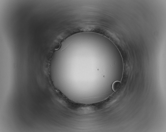 X0000116050307200911271223