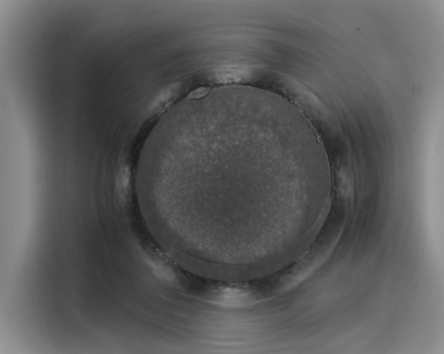 X0000116050308200911271223