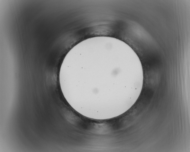X0000116050309200911271223