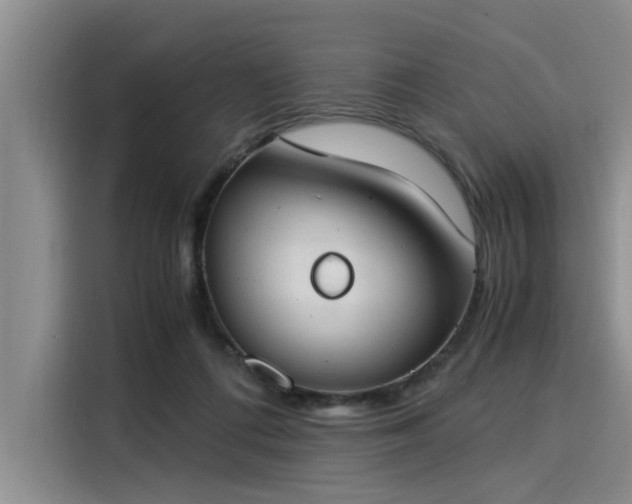 X0000116050312200911271223