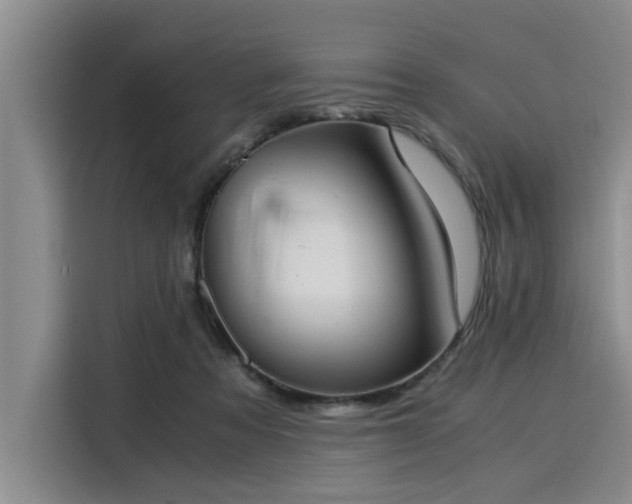 X0000116050313200911271223