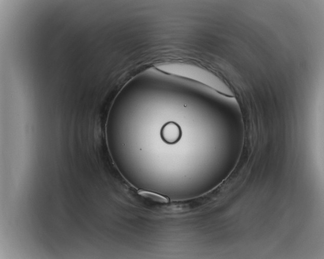 X0000116050320200911271223