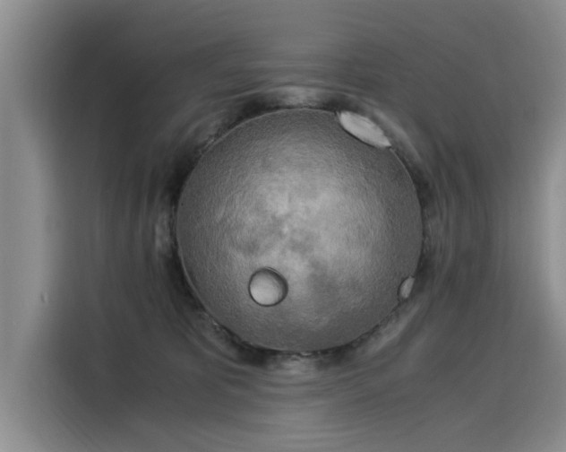 X0000116050325200911271223
