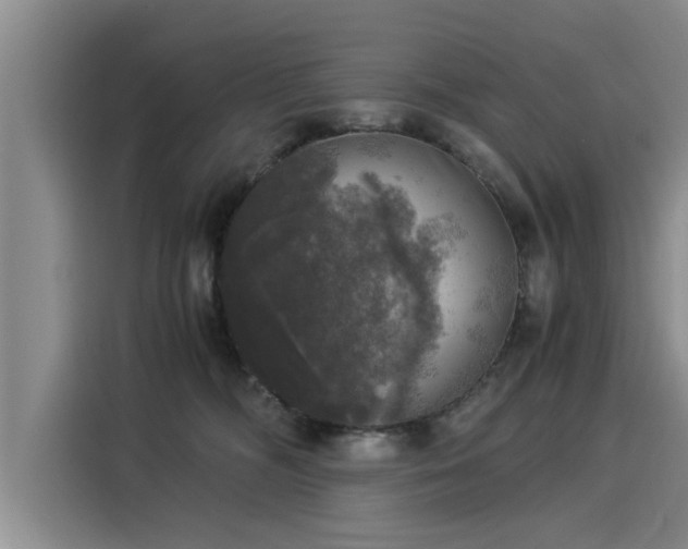 X0000116050326200911271223