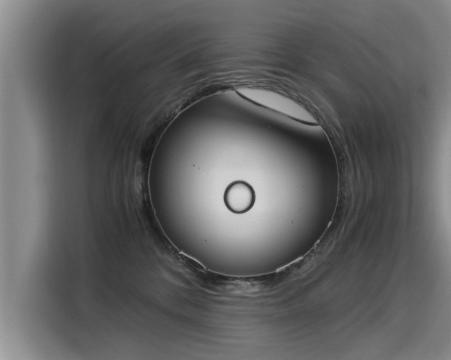 X0000116050328200911271223
