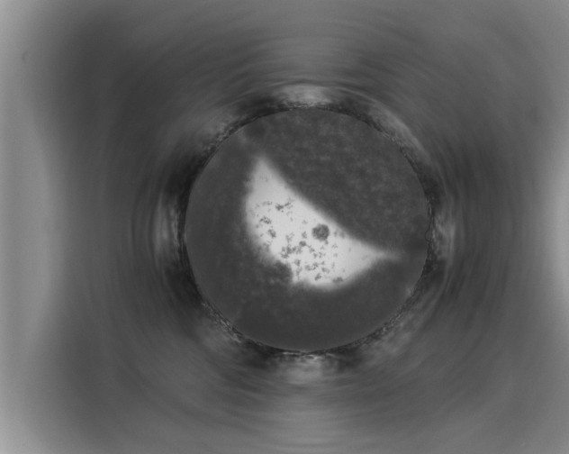 X0000116050330200911271223