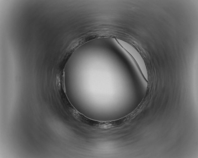 X0000116050333200911271223
