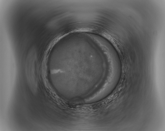 X0000116050337200911271222