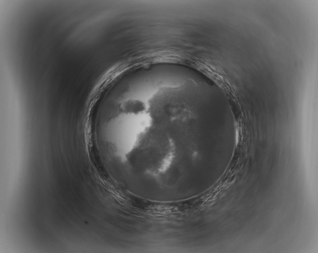 X0000116050339200911271222