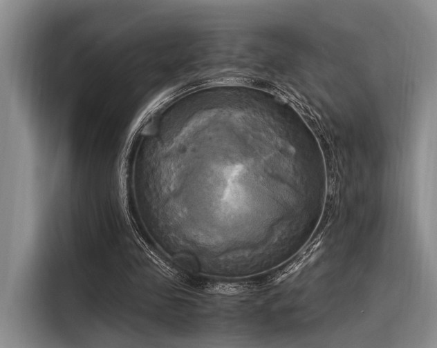 X0000116050341200911271222