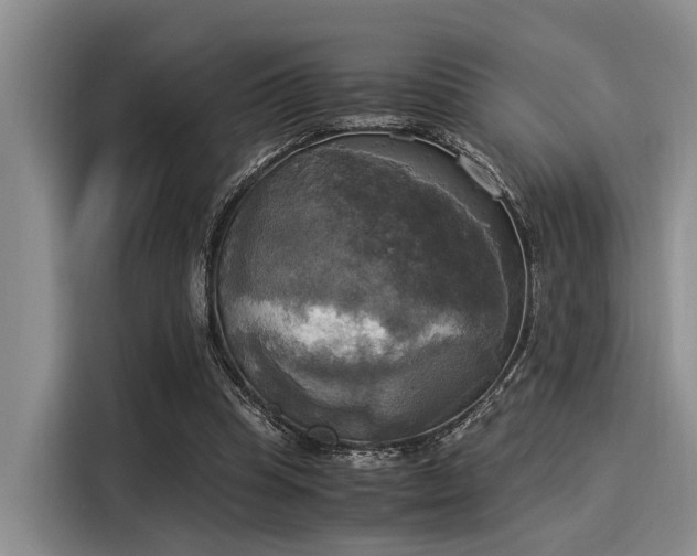 X0000116050345200911271222
