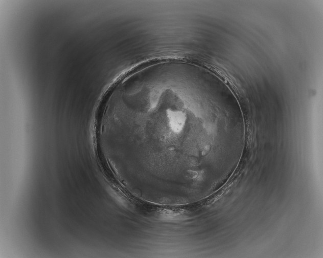 X0000116050346200911271222