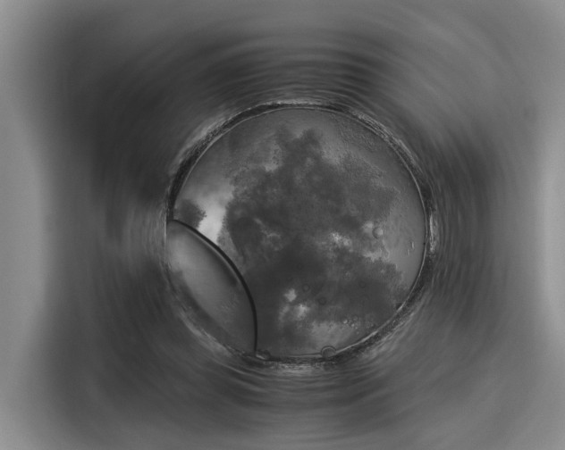 X0000116050349200911271222