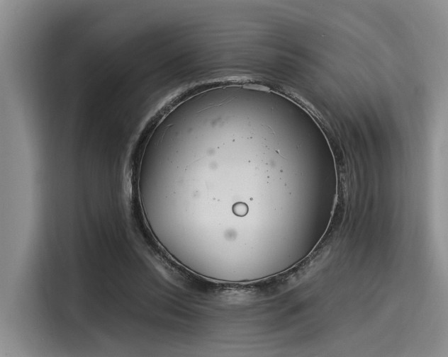 X0000116050350200911271222