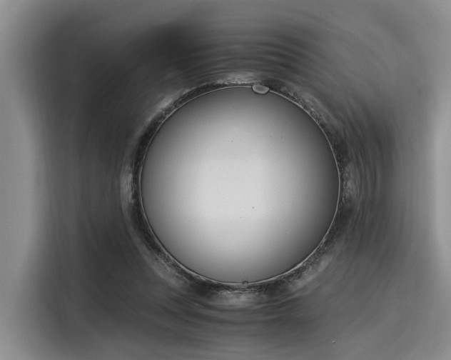 X0000116050351200911271222