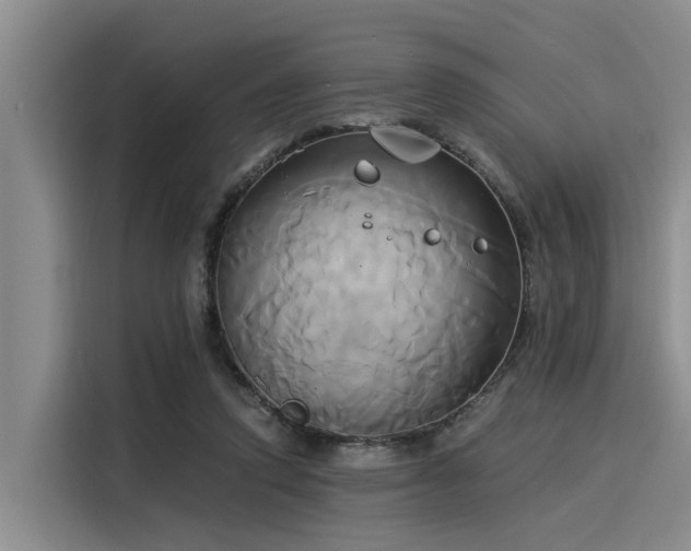 X0000116050354200911271222