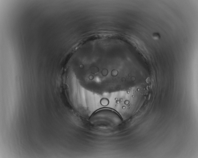X0000116050367200911271223