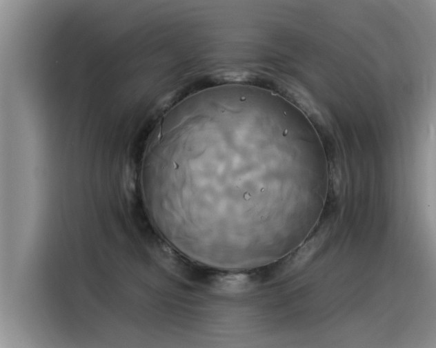 X0000116050374200911271223