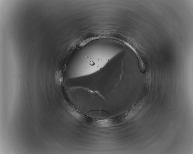 X0000116050383200911271223