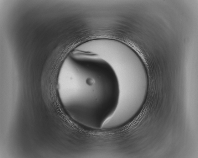 X0000116050385200911271222