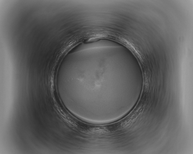 X0000116050386200911271222