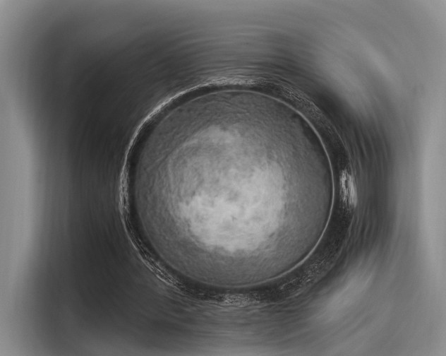 X0000116050388200911271222