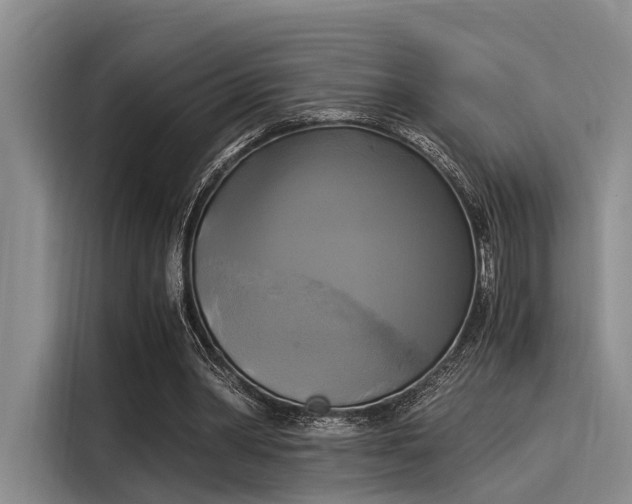 X0000116050390200911271222