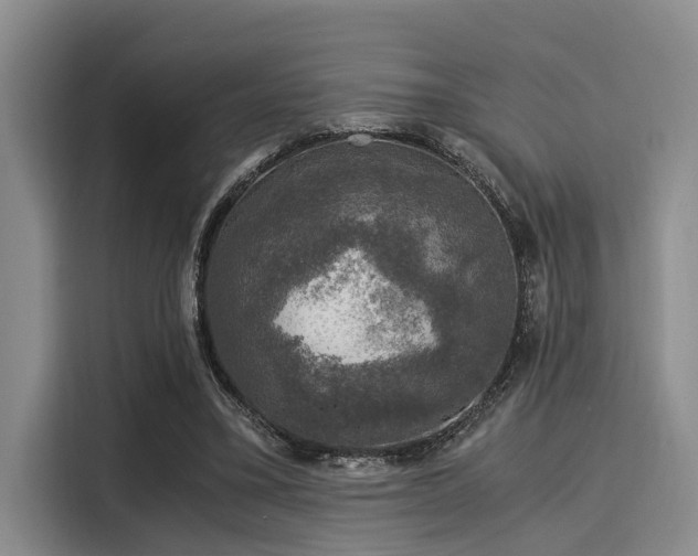 X0000116050395200911271222