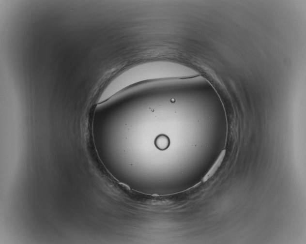 X0000116050403200911271222