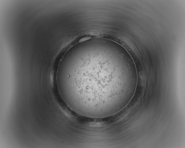 X0000116050404200911271222