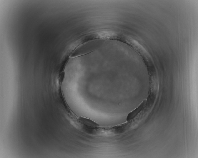 X0000116050405200911271222