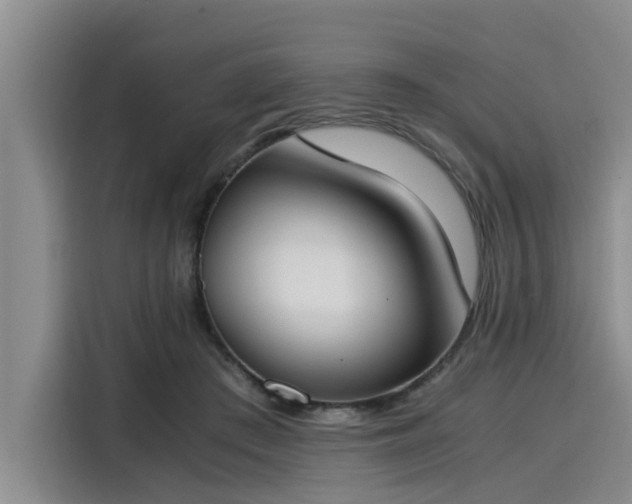 X0000116050409200911271222