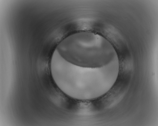 X0000116050415200911271222