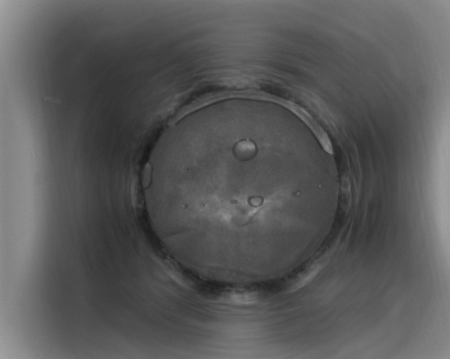 X0000116050416200911271222