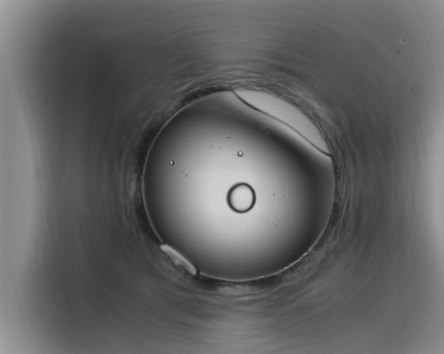 X0000116050417200911271222